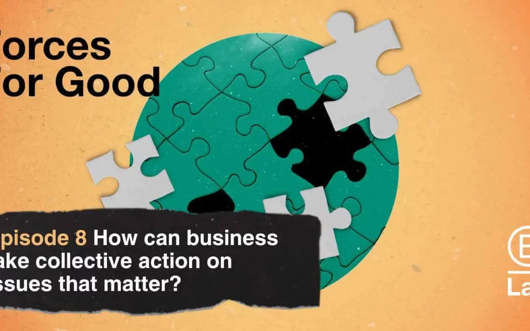 Our Chair on how can business take collective action